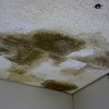 雨漏り対策におすすめの外壁塗料は？おすすめ2選はこの塗料！
