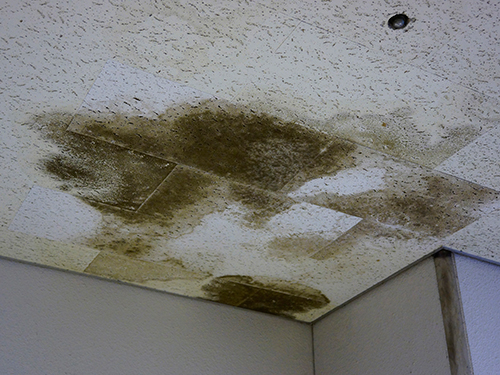 雨漏りしている天井の壁